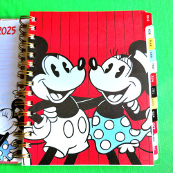 Agenda Minnie Mouse Disney 2024